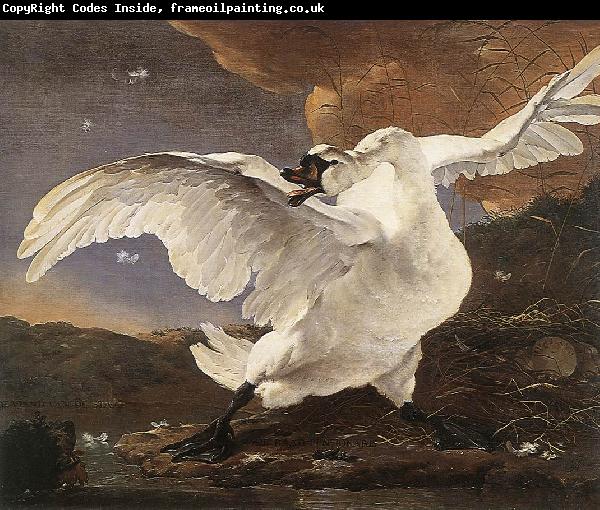 ASSELYN, Jan The Threatened Swan